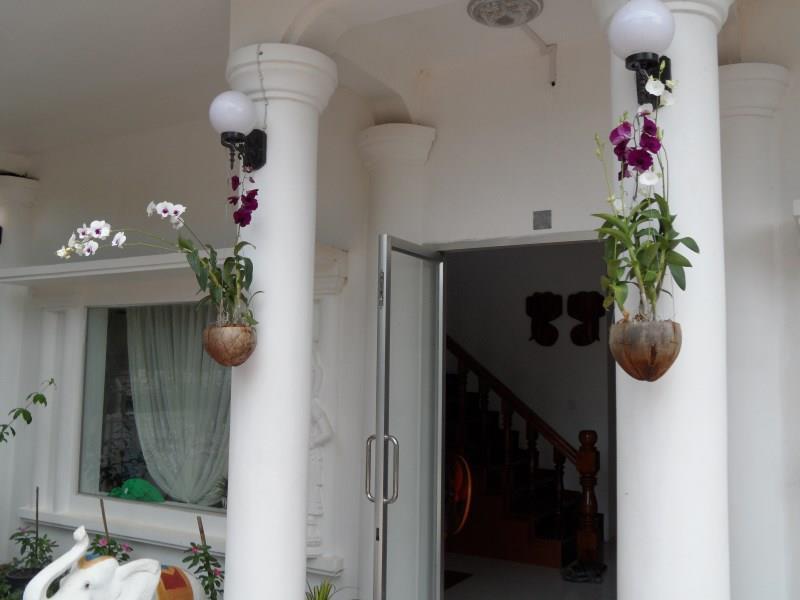 Royal Sok Chhan Siem Reap Exterior photo